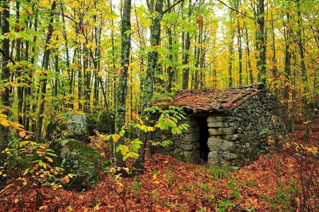 Penzion Casas Rurales Fuente Del Aliso Hervás Pokoj fotografie