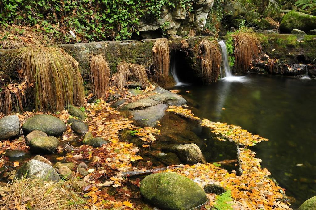 Penzion Casas Rurales Fuente Del Aliso Hervás Pokoj fotografie